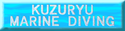 KUZURYU MARINE DIVING