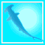BOAT DIVING FEE