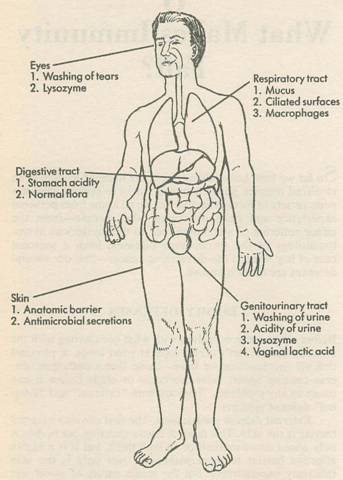 Maximum Immunity p163