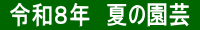  �ߘa�W�N�@�Ẳ��| 